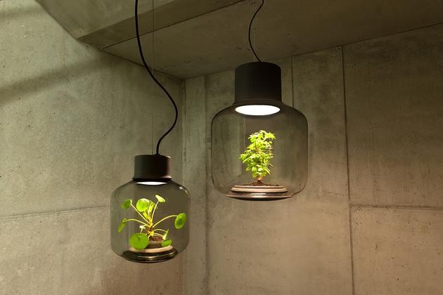 將植物放在一款密閉的LED燈具中能持續(xù)生長(zhǎng)嗎？